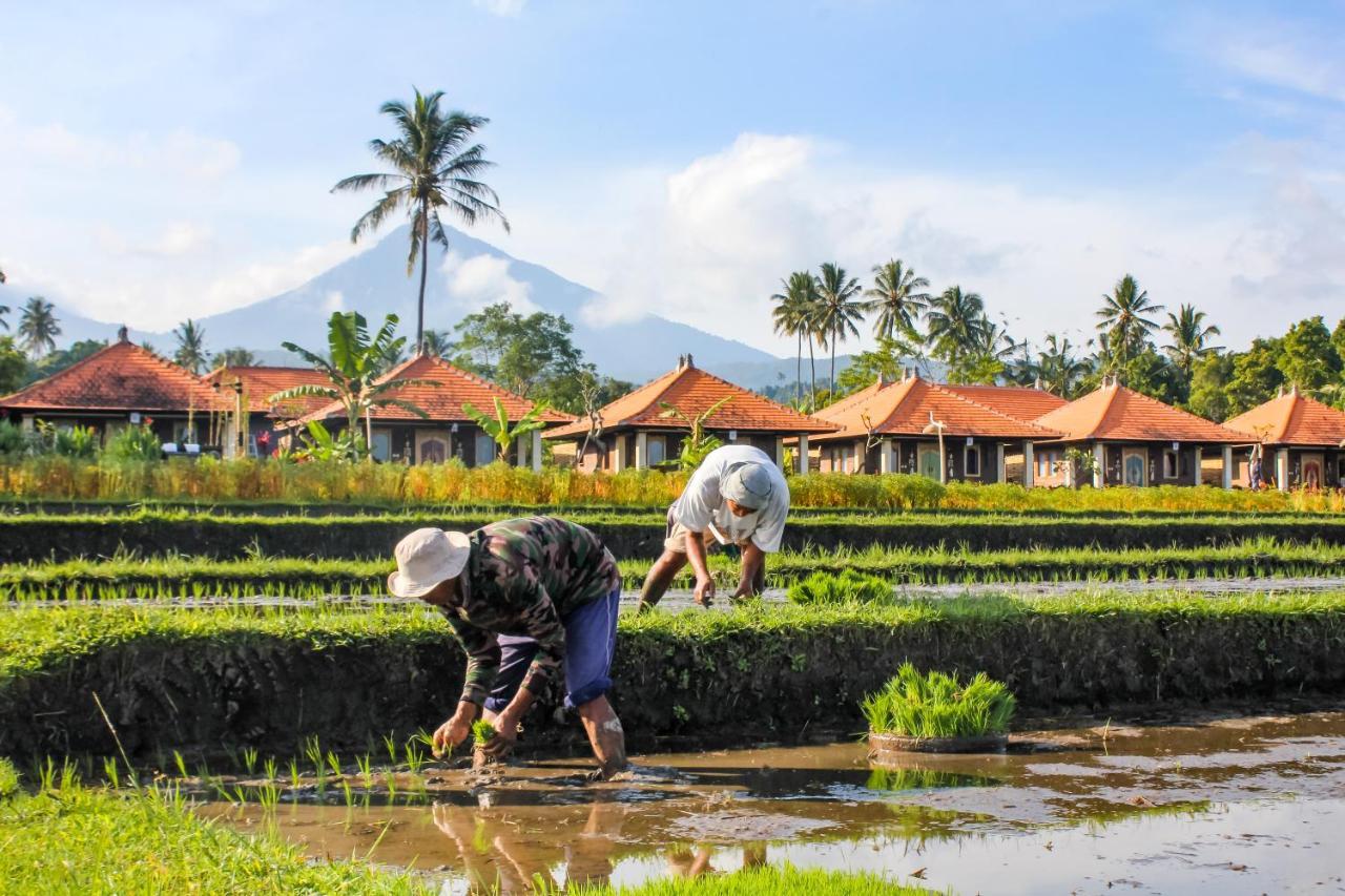 Sri Lestari Banyuatis Villa Munduk Екстериор снимка